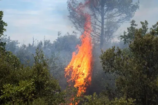 L'homme s'était légèrement brûlé aux bras en tentant d’éteindre l'incendie. Photo d'illustration.