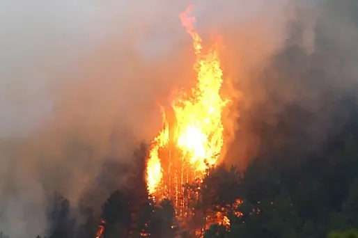 L'incendie a ravagé 380 hectares depuis son départ, vendredi dernier