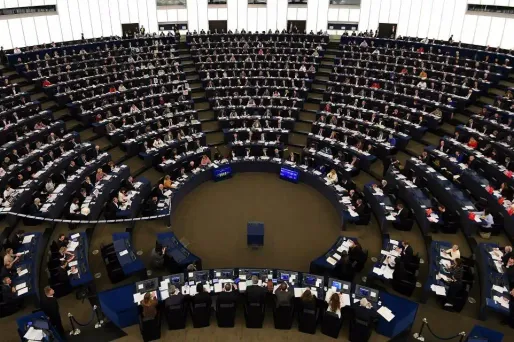 Marie-Sophie Boumard accuse Charles Van Houtte, cheville ouvrière du groupe FN au Parlement européen.