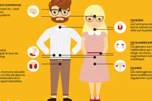 La définition des perturbateurs endocriniens est en débat au niveau européen depuis trois ans.