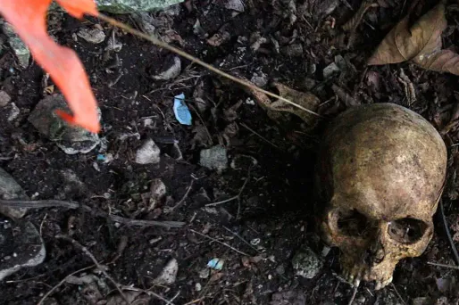 Les morceaux de squelette ont été retrouvés dans un seau à peinture. Image d'illustration.