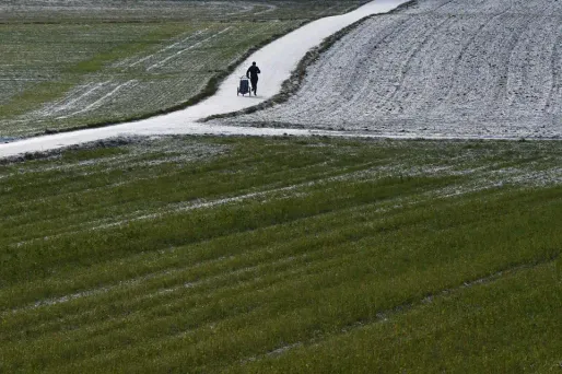 Les minimales seront voisines de zéro degré dans l'intérieur et fortement négatives sur le relief. (Illustration)