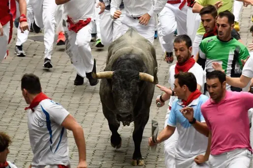 La jeune femme a été percutée par un taureau (image d'illustration)