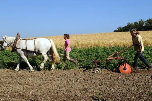 Les agriculteurs bio pourront continuer de bénéficier d'un crédit d'impôt