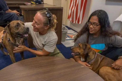 Jennifer Appel et Tasha Fuiaba ont passé cinq mois seules en mer avec leurs chiens.