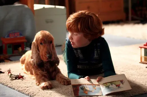 Boule et Bill, film crédit : LGM / Bruno Calvo / allociné - 1280