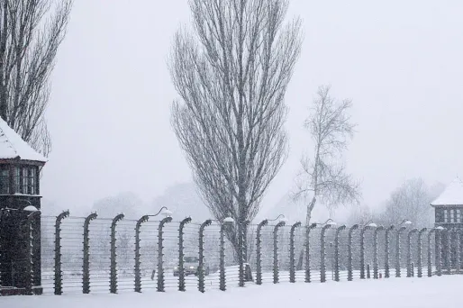 Auschwitz camp concentration 1280