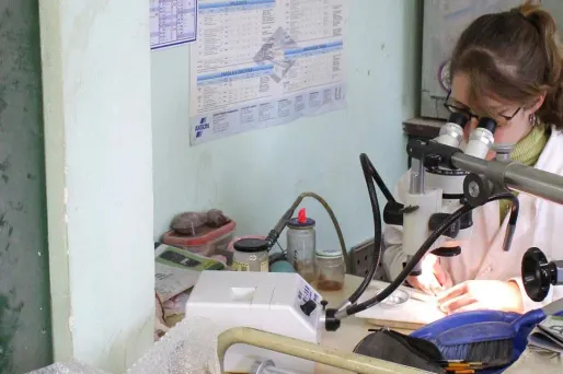 fossiles laboratoire 1280