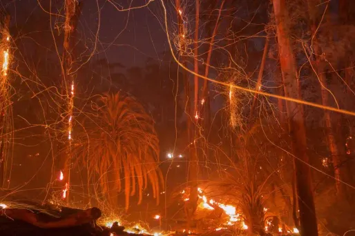 "Thomas" a déjà détruit 1.300 bâtiments et 110.000 hectares, soit presque la taille de Los Angeles.