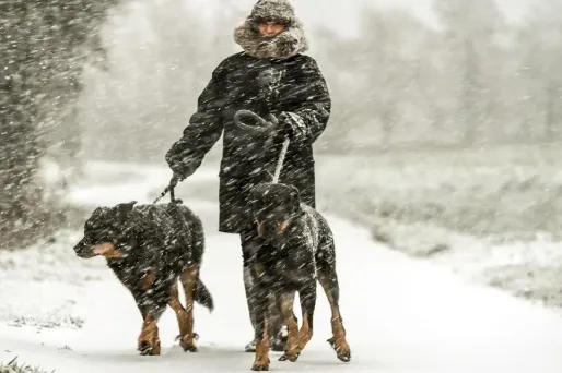 La neige sera au rendez-vous ce mercredi