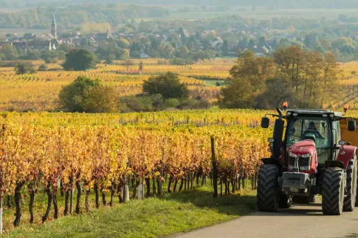 Les agriculteurs retraités concernés doivent rembourser un trop-perçu.