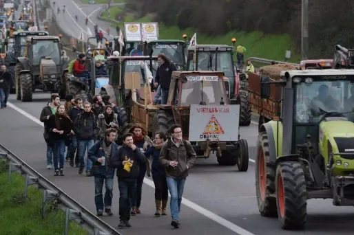 Les opposants à l'aéroport lors d'une manifestation à Nantes