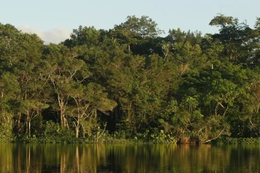 La jeune femme a été tuée lors d'un voyage en Equateur.
