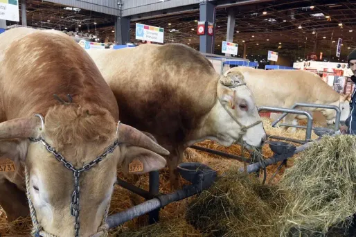 Salon de l'agirculture 2016 (1280x640)