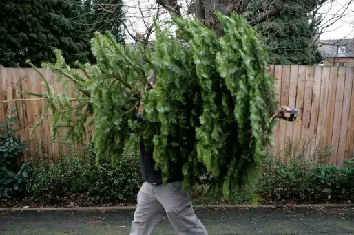 Sapin de Noël, 1280x640