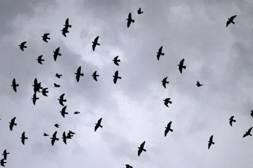 La météo de lundi : nuageux et pluvieux