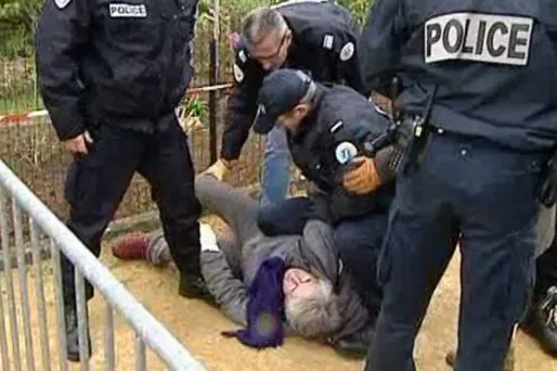 Poitou-Charentes : arrestation musclée d'une militante anti-abattage de platanes