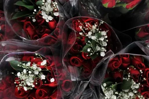 Pluie de fleurs dans un lycée de l'Utah.