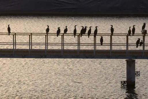 Image d'illustration.