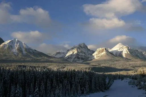 foret neige montagne canada 1280