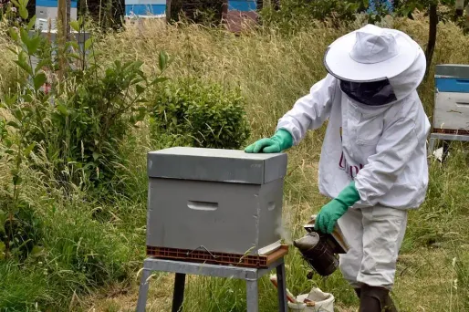 apiculteur abeilles ruches miel (1280x640) GEORGES GOBET / AFP