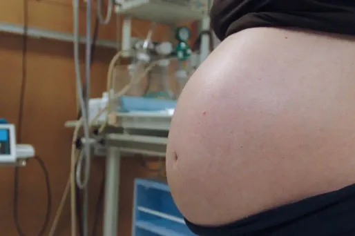 Zika : 20 femmes enceintes infectées dans les départements français d'Amérique