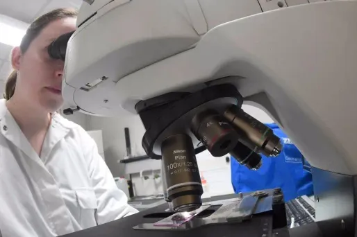 Grande-Bretagne : des scientifiques autorisés à manipuler des embryons humains