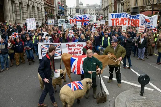 Un millier d'agriculteurs manifestent à Londres pour appeler le gouvernement à l'aide
