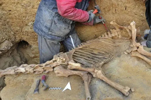 squelette fouille archeologie 1280