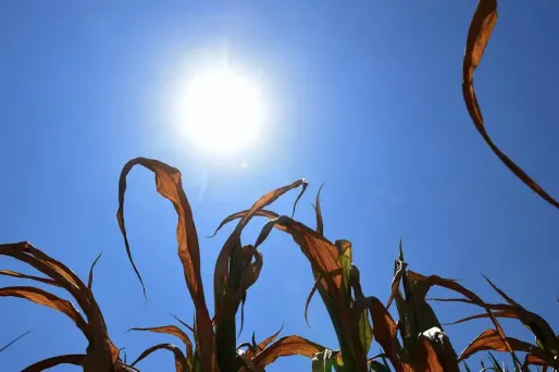 Des records de chaleur en janvier et février
