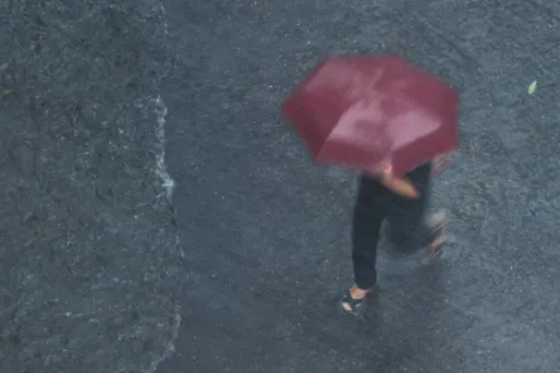 Pour la moitié sud, la journée se déroulera sous un ciel bien encombré avec des pluies fréquentes.