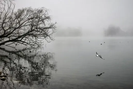 Dans la matinée, des bancs de brouillard seront présents de la région parisienne à la frontière belge.