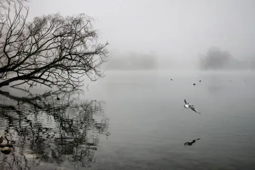 Le temps dimanche : instable dans le sud, nuageux au nord et ensoleillé dans le centre