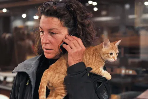 Florence Arthaud, en octobre 2014.