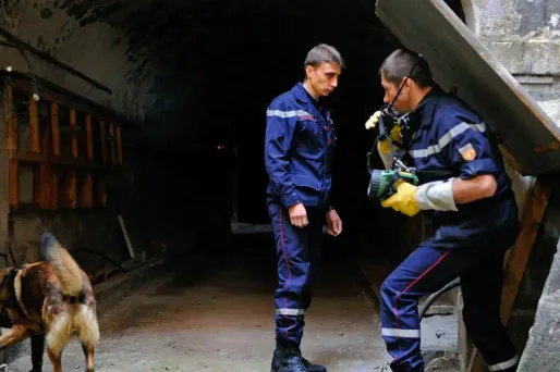 Dordogne : elle déménage et laisse mourir ses chiens, enfermés à la cave