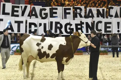 Les éleveurs manifestent lors du Salon de l'Agriculture.