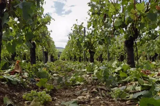 Image d'illustration.