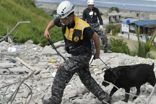 equateur seisme 1280