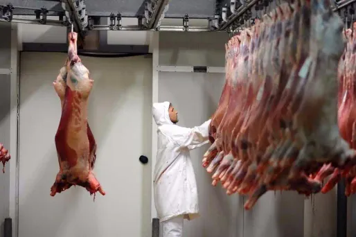 Abattoirs, corrida : la SPA interpelle Hollande avec une campagne d'affichage