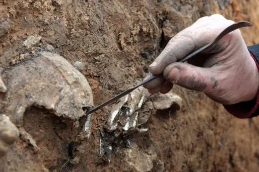 Un squelette de bébé datant de 1.500 ans "va permettre de connaître les rituels d'inhumation à cette période"