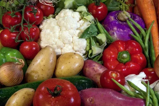 Bio à la cantine : les sénateurs réécrivent le texte voté à l'Assemblée