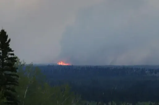 Le feu de Fort McMurray a ravagé plus de 5.230 km2 de forêt.