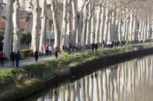 toulouse canal du midi 1280
