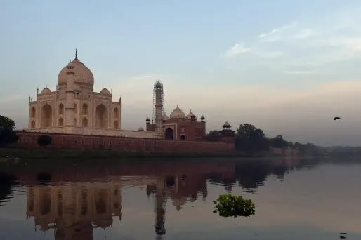 Des insectes pullulent dans la rivière voisine du Taj Mahal, la Yamuna River.