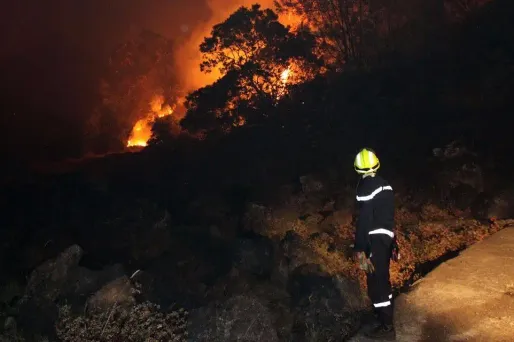 Jusqu'à 220 sapeurs-pompiers du Maine-et-Loire, d'Indre-et-Loire, de la Sarthe, de Loire-Atlantique et des Deux-Sèvres ont été mobilisés lundi.
