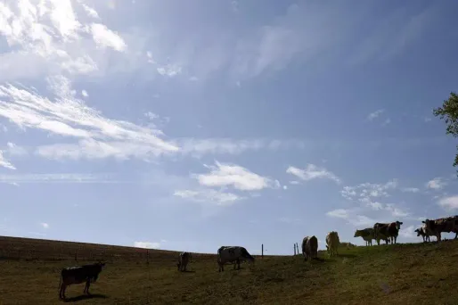La météo de mardi sera plus agréable