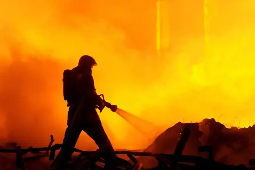 Incendie dans une forêt du Maine-et-Loire, au moins 100 ha ravagés