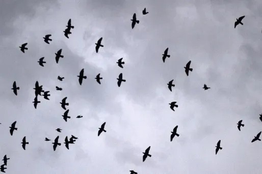 Le temps dimanche : variable, parfois perturbé