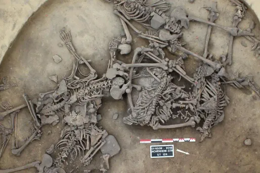 Les archéologues ont trouvé six squelettes complets gisant de façon désordonnée sur le dos, le ventre et le côté.