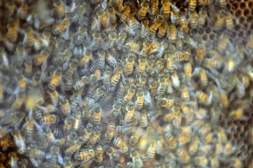 Image d'illustration.